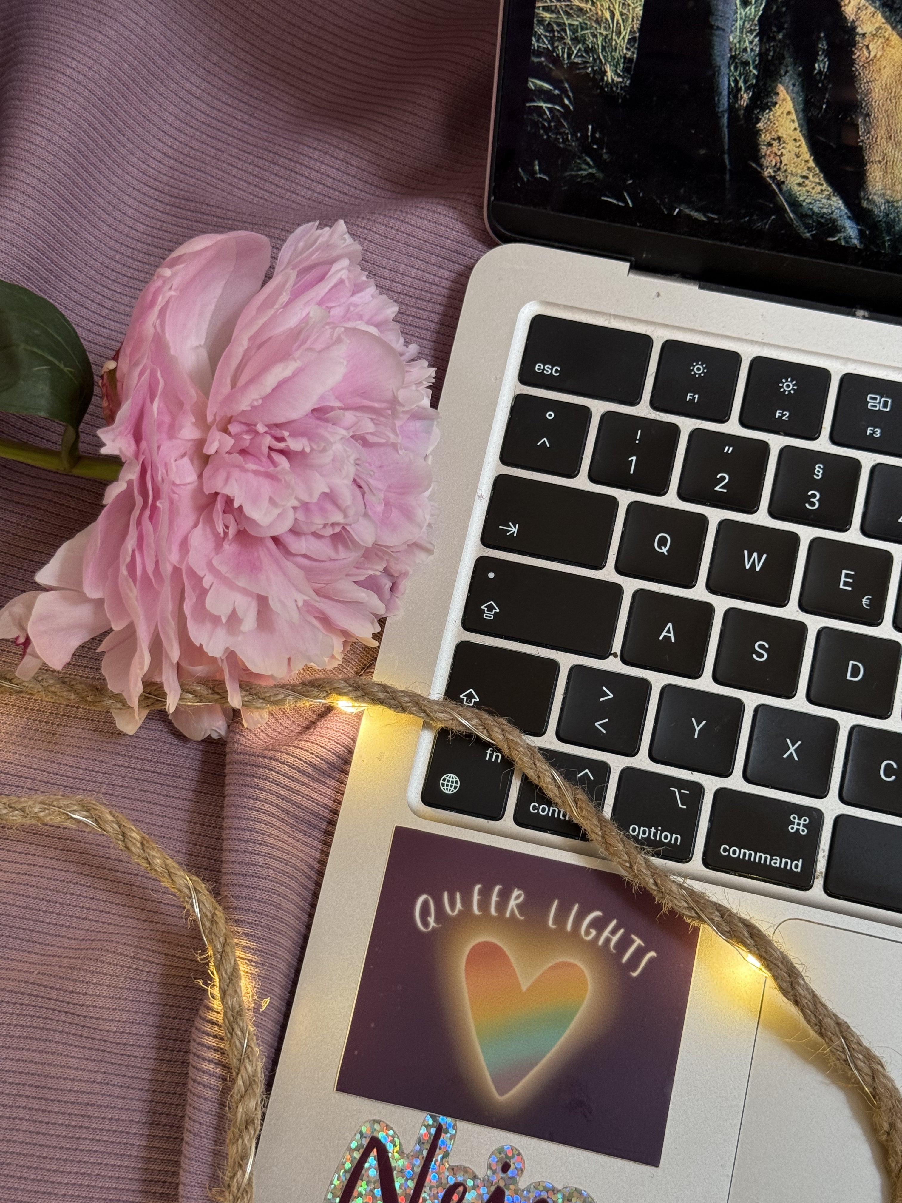 Sticker „Queer Lights“ | Ein Sticker für die Schönheit queerer Lebensrealitäten